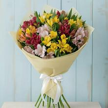 Букет цветов из:  Альстромерии в Старой Вичуге