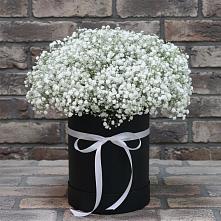 Цветочная композиция из Гипсофила в шляпной коробке #REPLACE_PRED# Старой Вичуге