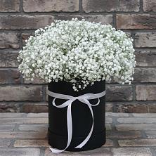 Цветочная композиция из Гипсофила в шляпной коробке в Старой Вичуге